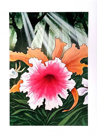 1990 * Poster Illustrazione "I Fiori, Salvaguardia Amazzonia - Angelo Siviglia" (A)