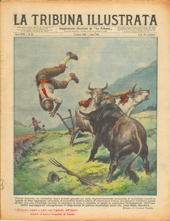 1935 * Rivista Storica Originale "La Tribuna Illustrata (N°22) - Toro Attacca Coppia di Buoi"