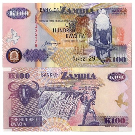 1992 * Banconota Zambia 100 Kwacha "Fish Eagle" (p38b) FDS