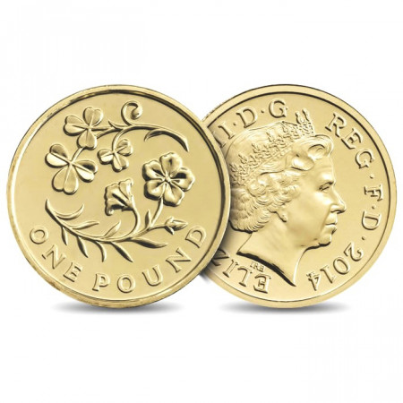 2014 * 1 pound Gran Bretagna Irlanda del Nord floreale