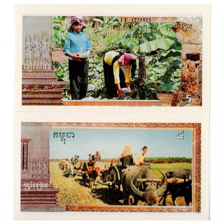 1993-99 * Riproduzione Banconota Cambogia (Khmer Rossi) 5 Riels FDS