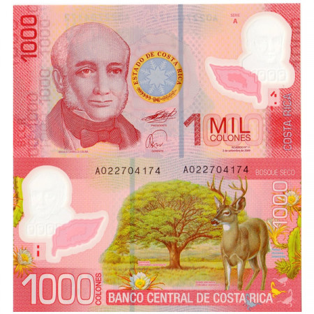 2009 * Banconota Polimera Costa Rica 1000 Colones (p274) FDS