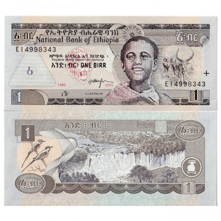 2006 (EE 1998) * Banconota Etiopia 1 Birr "Blue Nile" (p46d) FDS