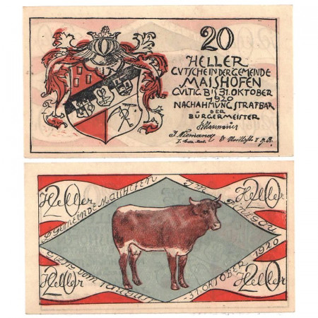 1920 * Notgeld Austria 20 Heller "Salisburghese – Maishofen" (FS 572)