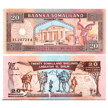 1996 * Banconota Somaliland 20 Shillings =20 Shilin "Goodirka" (p3b) FDS