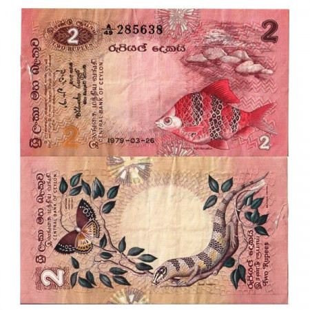 1979 * Banconota Sri Lanka 2 Rupees "Black Ruby Barb" (p83a) MB