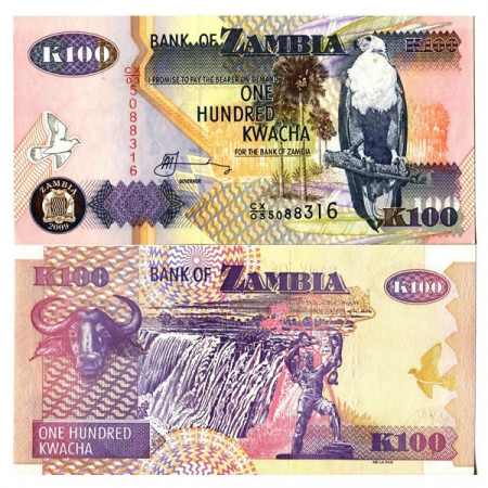 2009 * Banconota Zambia 100 Kwacha "Fish Eagle" (p38h) FDS