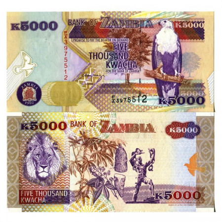 1992 * Banconota Zambia 5000 Kwacha "Fish Eagle" (p41a) FDS