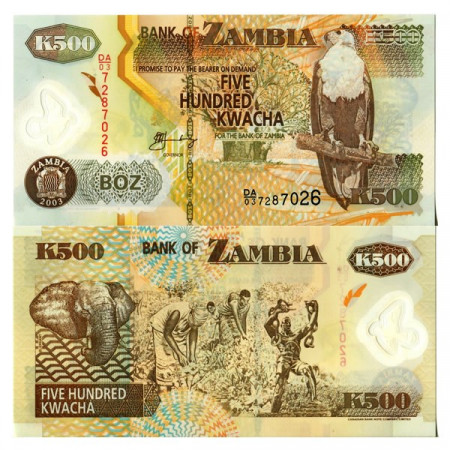2003 * Banconota Polimera Zambia 500 Kwacha "Fish Eagle" (p43b) FDS
