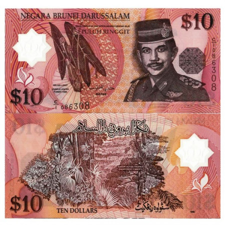 1996 * Banconota Polimera Brunei 10 Ringgit "Hassanal Bolkiah" (p24a) FDS