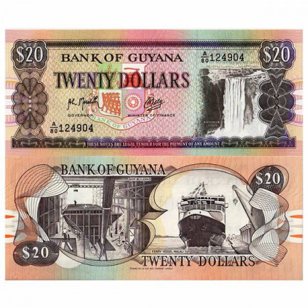 ND (1989) * Banconota Guyana 20 Dollars "Kaieteur Falls" (p27) FDS