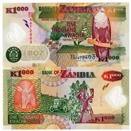 2009 * Banconota Polimera Zambia 1000 Kwacha "Fish Eagle" (p44g) FDS