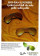 Anni ' 80  * Pubblicità Originale "Ray-Ban Leathers Occhiali da Sole - AG. LEADER, Luxottica" in Passepartout