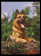 1990ca * Manifesto, Poster "Royal Canin - Hero vom Jaresberg, Pastore Tedesco" Italia (B+)