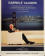 1970ca * Locandina, Poster Teatro "Indovina chi Viene a Cena - Gabriele Calindri, Teatro Alfieri" Italia (B)
