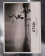 1990 * Manifesto Poster Arte "J.H. Lartigue 1927 Mai Cannes - Il Volo, Roma" Italia (A-)