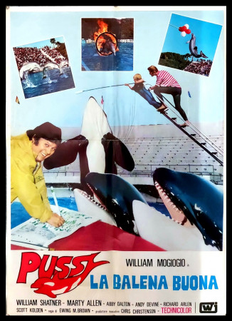 1977 * Movie Poster "Pussy La Balena Buona - William Shatner, William Mogiogio" Comedy (B+)