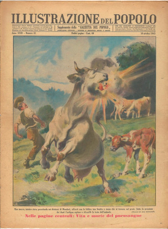 1943 * Illustrazione del Popolo (N°41) "Cow in Mondovì - Brazilian Fans" Original Magazine