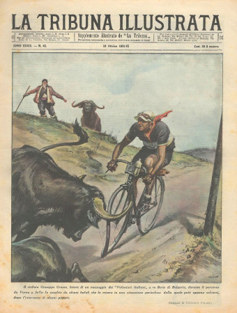 1931 * Original Historical Magazine "La Tribuna Illustrata (N°42) - Ciclista Attaccato Da Bufali"