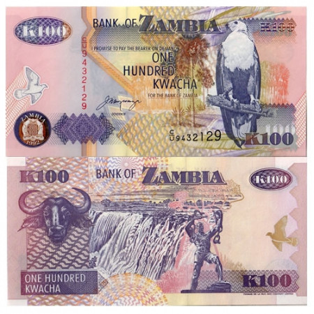 1992 * Banknote Zambia 100 Kwacha "Fish Eagle" (p38b) UNC