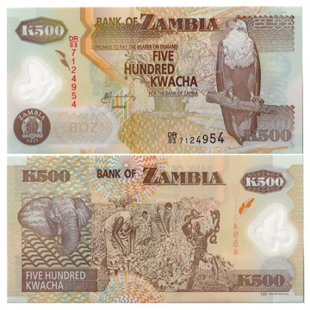 2011 * Banknote Polymer Zambia 500 Kwacha "Fish Eagle" (p43h) UNC