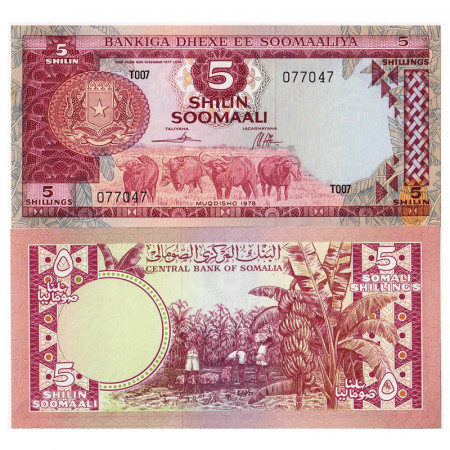 1978 * Banknote Somalia 5 Shilin = 5 Shillings "Water Buffalos" (p21) UNC