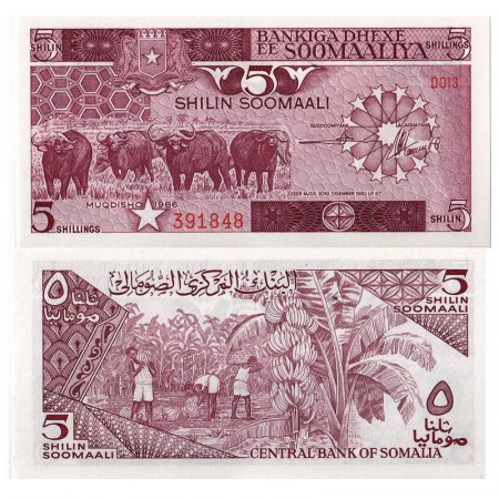 1986 * Banknote Somalia 5 Shilin = 5 Shillings "Water Buffalos" (p31b) UNC