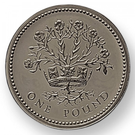 1991 * 1 Pound Silver Great Britain "Elizabeth II Northern Irish Flax" (KM 946a) PROOF