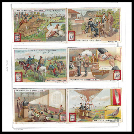 1902 * Set 6 Cards LIEBIG "Il Piccione Viaggiatore" (CIF 711 - SANG 708)