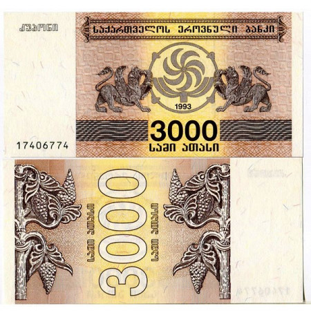 1993 * Banknote Georgia 3000 Laris (p45) UNC