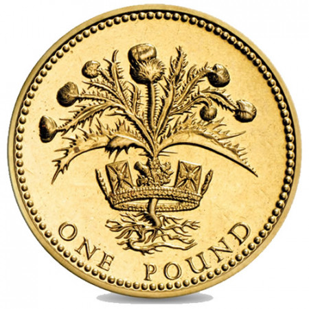 1989 * 1 Pound Great Britain "Scotland - Thistle and Royal Diadem"