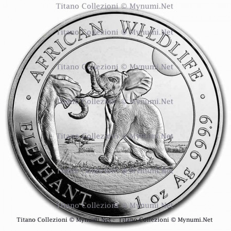 
2024 * 100 Shillings Silver 1 OZ Somalia "Elephants" BU