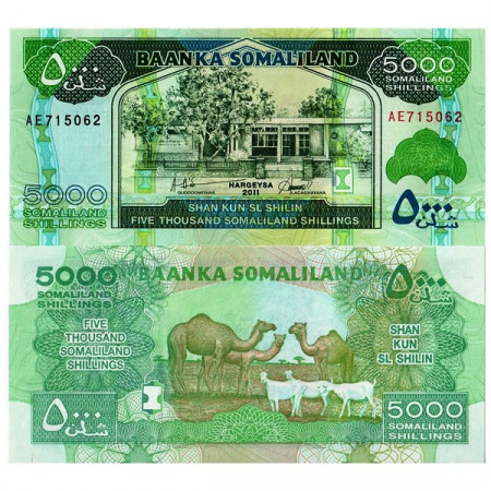 2011 * Banknote Somaliland 5000 Shillings (p21) UNC