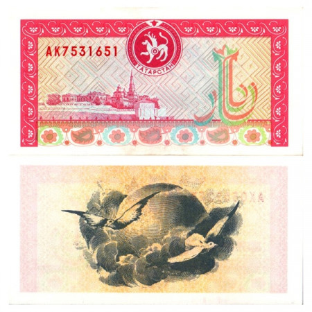 ND (1994) * Banknote Tatarstan (Russia) 1000 Rubles "Kazan Kremlin - Gulls" (p10) aUNC