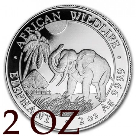 2017 * 200 Shillings 2 OZ Somalia "Elephant" BU