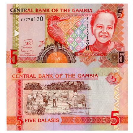 ND (2006) 2013 * Banknote Gambia 5 Dalasis "Giant Kingfisher" (p25) UNC