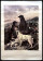 1990ca * Poster Art Original "Thomas Goff Lupton - Le Chien Bien-Aimé" Italy (B)