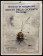 1981 * Poster Original "Giochi della Gioventù, Stresa, Piemonte - Regata Optimist" Italy (B)