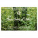 1991 * Diptych 500 and 200 lire Italy Flora and Fauna