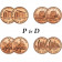 2009 * Lot 8 x 1 Cent (Lincoln Cent) United States "Lincoln's 200th Birthday" P+D