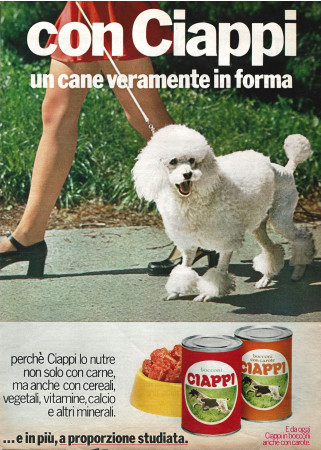 Ans '70 * Publicité Original "Ciappi Bocconi, Un Cane Veramente in Forma" dans Passepartout