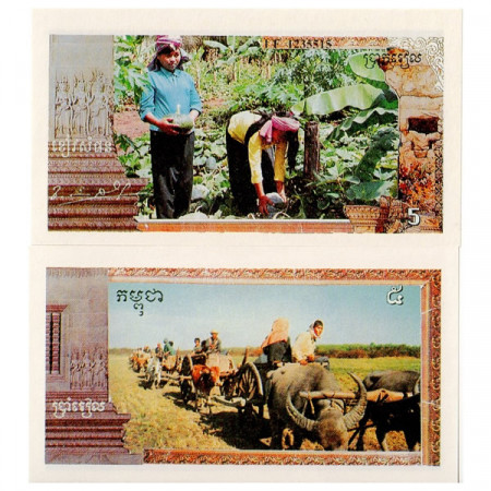 1993-99 * Reproduction Billet Cambodge (Khmer Rouge) 5 Riels NEUF
