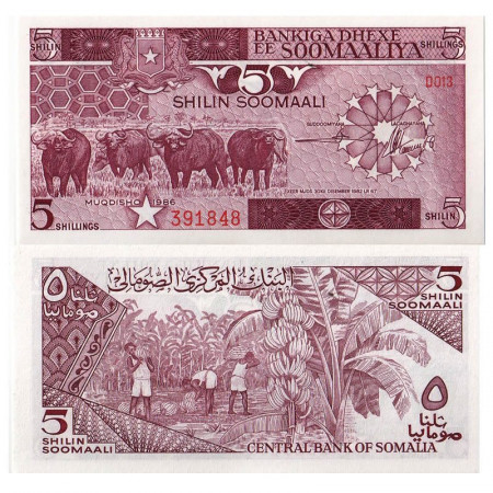 1986 * Billet Somalie 5 Shilin = 5 Shillings "Water Buffalos" (p31b) NEUF