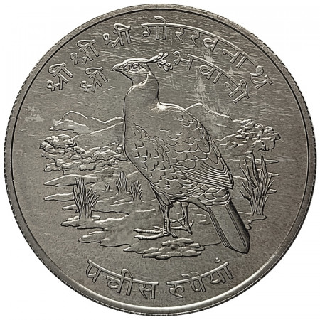 2031 (1974) * 25 Rupees Argent Népal "Faisan Monal de l'Himalaya" (KM 839) FDC