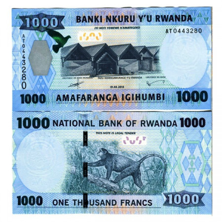 2015 * Billet Rwanda 1000 Francs "National Museum - Golden Monkey" (p39) NEUF