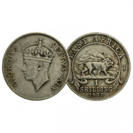1950 * 1 Shilling Afrique Orientale Britannique - British East Africa "George VI" (KM 31) TTB