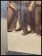 1990ca * Affiche Decoratif "Giuseppe Pellizza da Volpedo - Il Quarto Stato" Italie (B+)