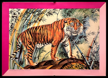 2005 * Cartel Original "Tigre Tiger - Tierpark Berlin" Alemania (A-)