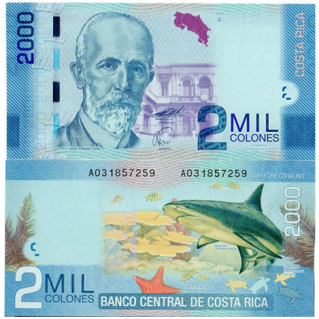 2009 * Billete Costa Rica 2000 Colones (p275) SC