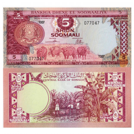 1978 * Billete Somalia 5 Shilin = 5 Shillings "Water Buffalos" (p21) SC